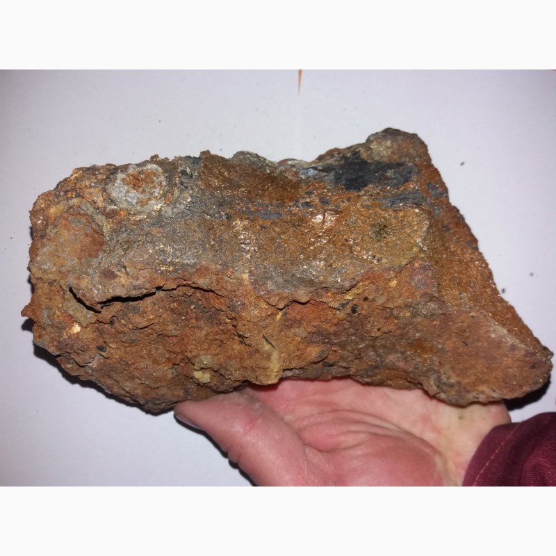 Фото 4. Метеорит Железо каменный палласит