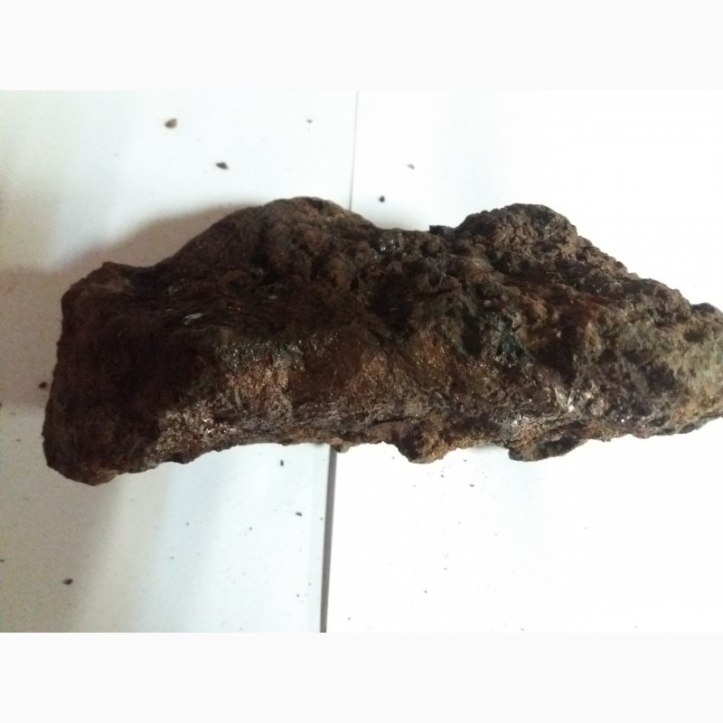Фото 5. Метеорит Железо каменный палласит