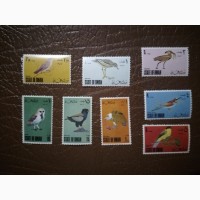 Оман, птицы