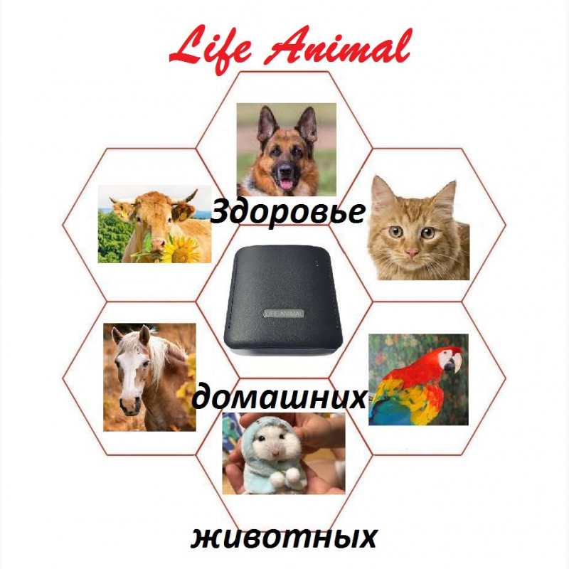 Фото 4. Антипаразитарная и общеукрепляющая программы для животных Life Animal. Акция