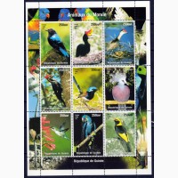 Гвинея, птицы