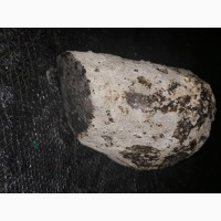 Метеорит марсиянський