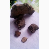 Метеорити марсіанські