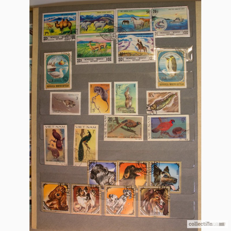 Фото 7. Продам почтовые марки СССР и других стран