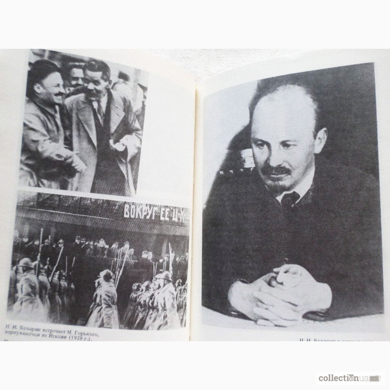 Фото 7. Бухарин. Политическая биография 1888-1938. Автор: Стивен Коэн