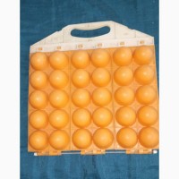 Лоток для яиц СССР винтажный кейс яичника яйценоска