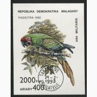 Мадагаскар, птицы