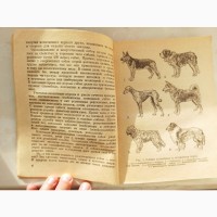 Книга Пам#039;ятники тваринам І.Ф. Заянчковський