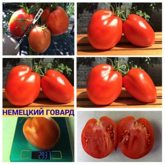 Коллекция семян томатов