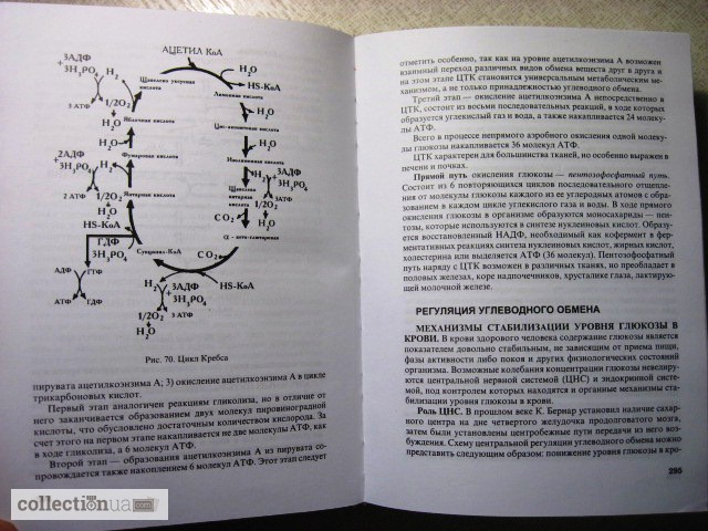 Фото 8. Горячковский А. М. Клиническая биохимия. 1998г. (лабораторная диагностика)