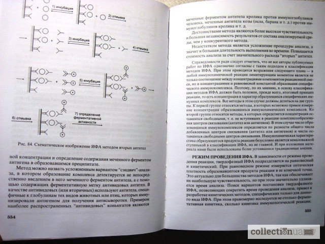 Фото 9. Горячковский А. М. Клиническая биохимия. 1998г. (лабораторная диагностика)