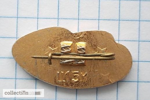 Фото 2. Значок «Речфлот Украины, корабль на подводных крыльях». Лот 2