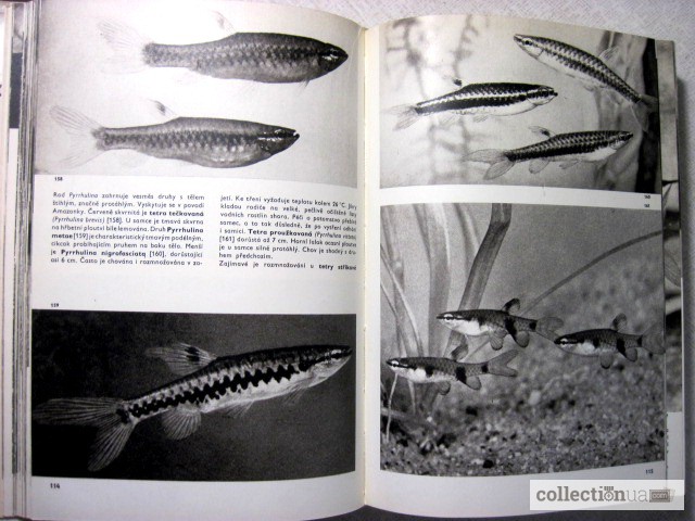 Фото 5. Большой Иллюстрированный атлас рыб Чешский яз. Stanislav Velk 253; obrazov 253; atlas