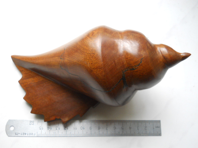 Фото 3. Большая морская ракушка из дерева