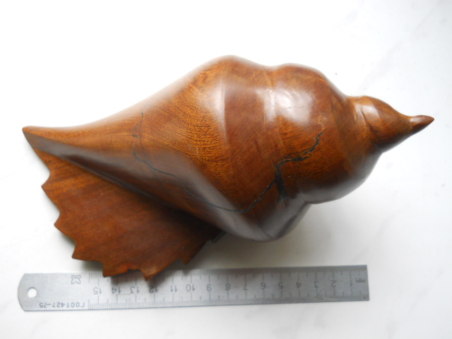 Фото 4. Большая морская ракушка из дерева