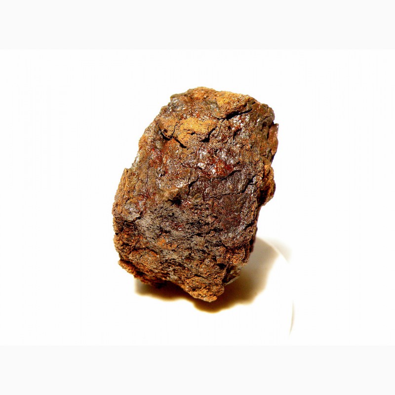 Фото 4. Метеорит железный, meteorite