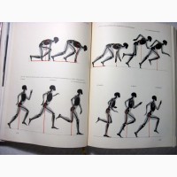 Gottfried Bammes, Die Gestalt des Menschen. Hand-und Lehrbuch der Anatomie für Künstler