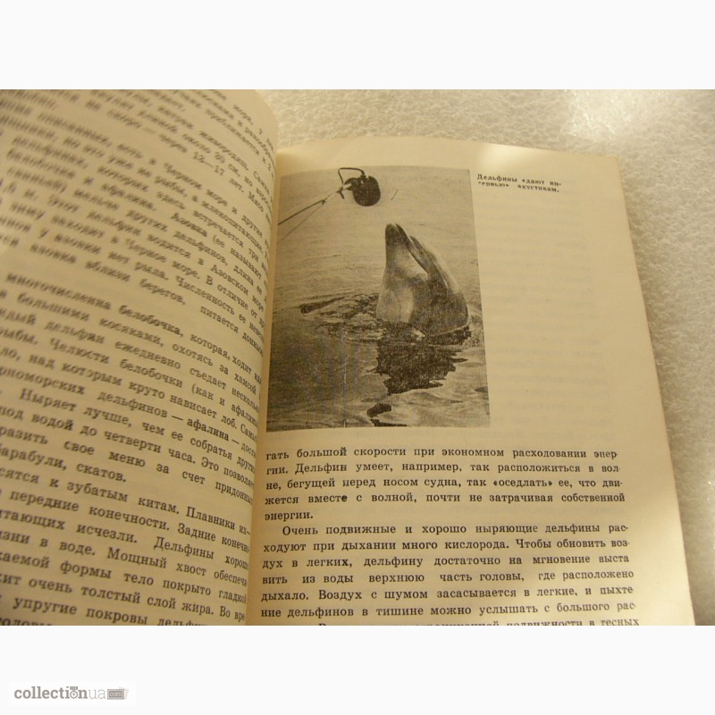 Фото 6. Книга Чёрное Море 1976 год СССР
