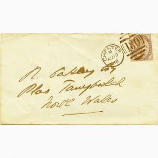 Подлинный конверт 1888 года с перевернутым сиреневым пенни