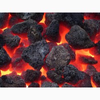 Minerals, coal, charcoal and organic fertilizers suppliers