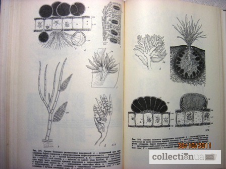 Фото 3. Животные и растения залива Петра Великого Японского моря 1976 образ жизни строение расселе