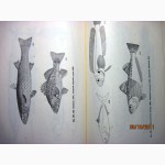 Животные и растения залива Петра Великого Японского моря 1976 образ жизни строение расселе