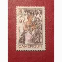 Распродажа, Камерун