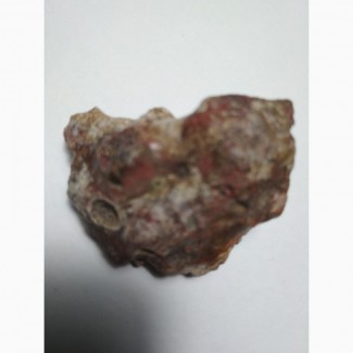 Продам метеорит с красной планеты марса парный nwa7034 martian meteorite nwa 7034