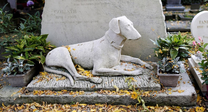 Фото 3. Скульптурное надгробие для домашнего животного под заказ