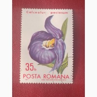 Распродажа, Румыния, цветы