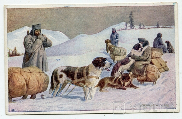 Фото 3. Комплект - Велика Війна. Собаки в санітарній службі. Відень