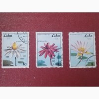 Распродажа, Куба, цветы