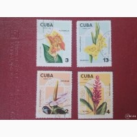 Распродажа, Куба, цветы
