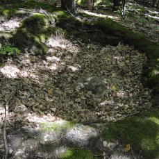 Фото 4. Продам метеорит диаметер 1 метр упал 2012г. Киевская обл
