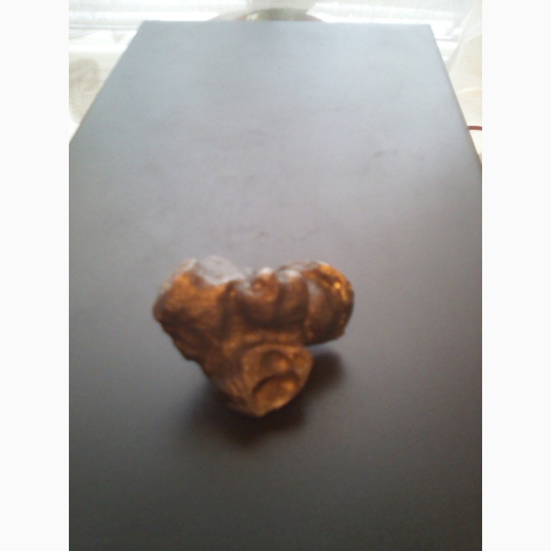Фото 4. Продам залізний метеорит