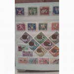 Альбом почтовых марок разных стран мира.Тематика спорт
