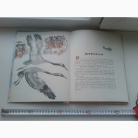 Книга детская СССР. Большой формат. Твердая обложка. Природа
